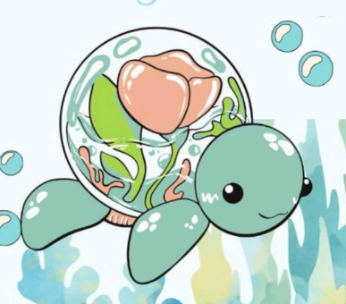 Sammy la Tortuga - Imagen del artículo